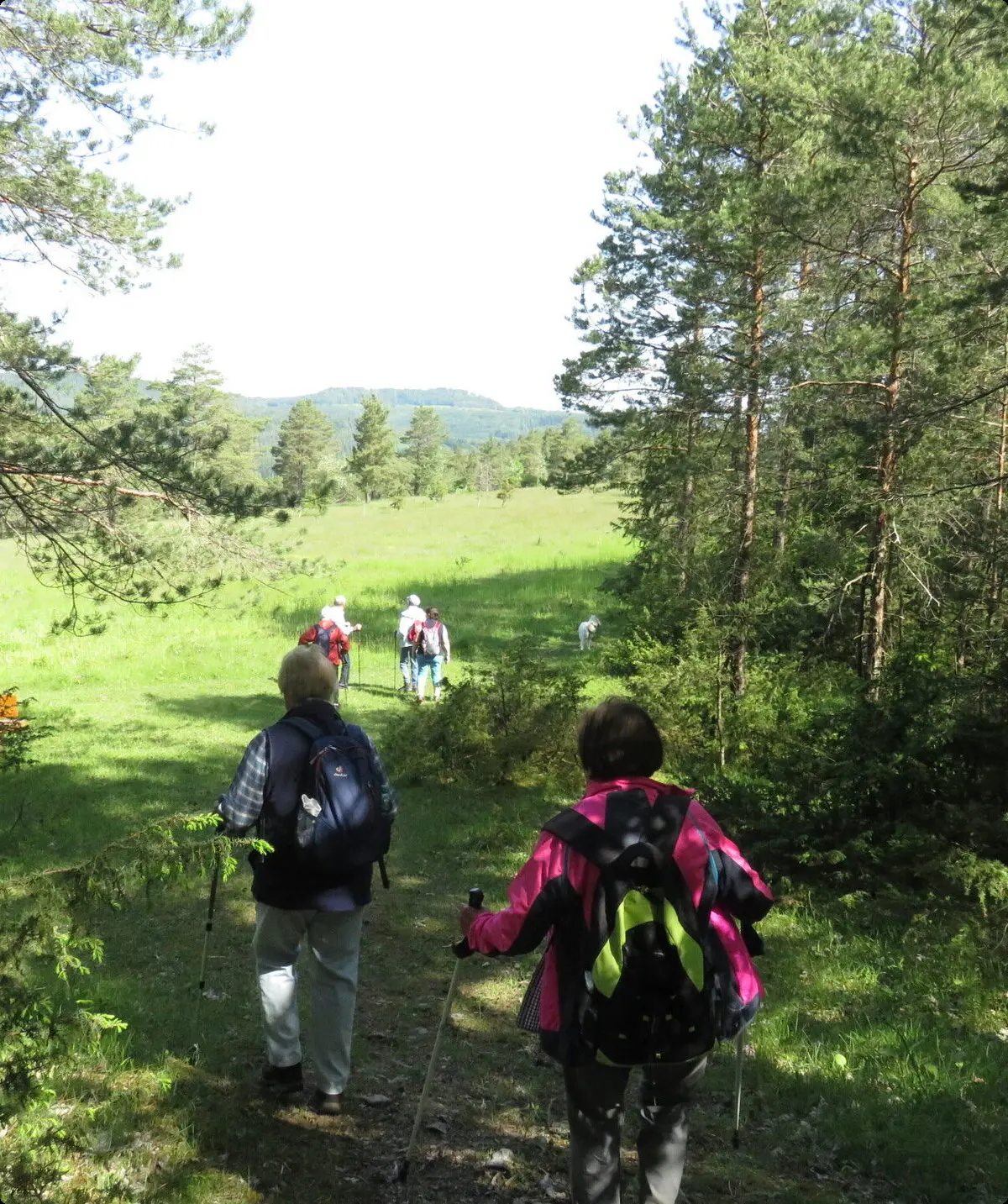 Wandergruppe Wohnsig | © DAV Kulmbach Wandergruppe