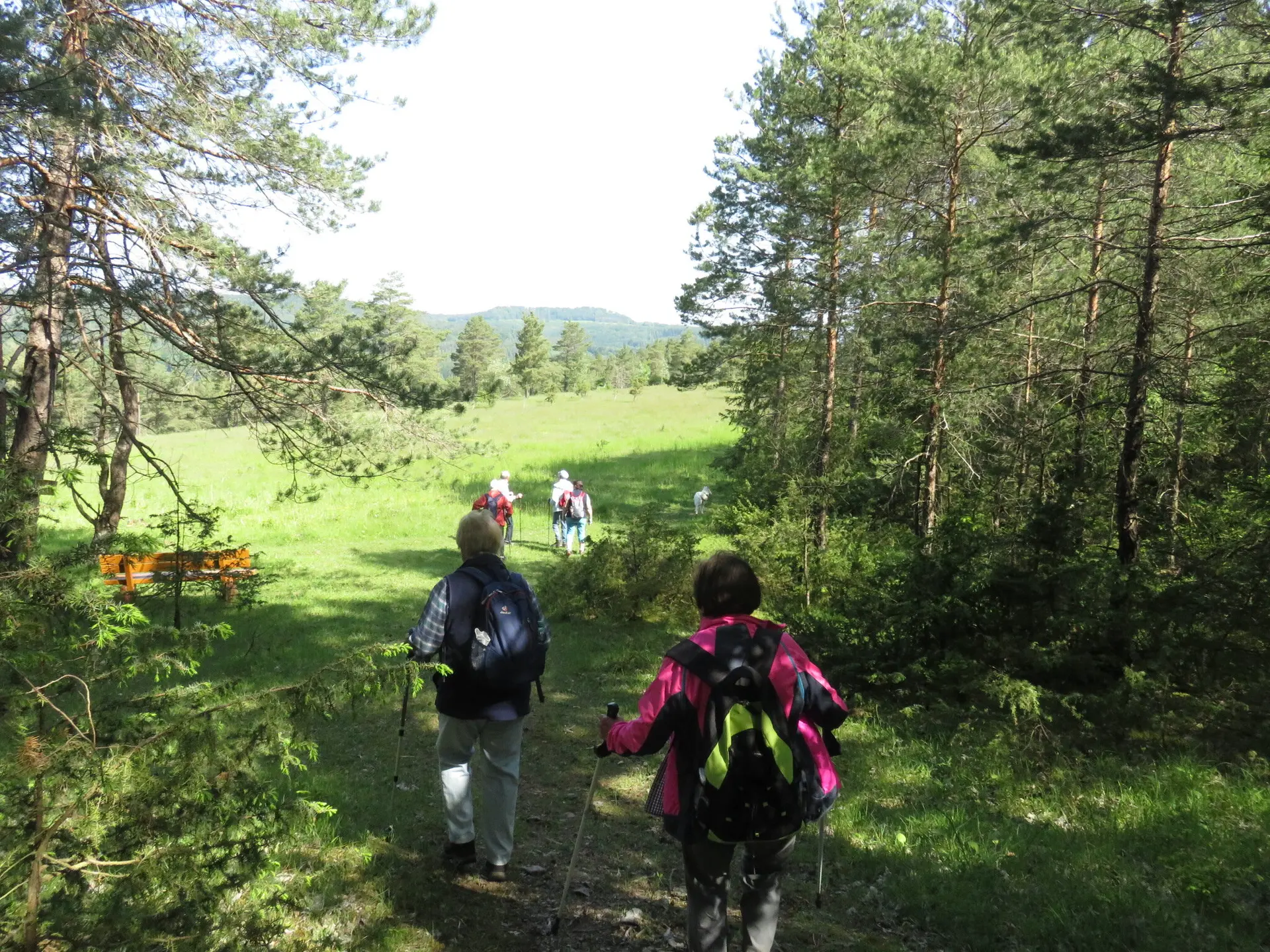 Wandergruppe Wohnsig | © DAV Kulmbach Wandergruppe