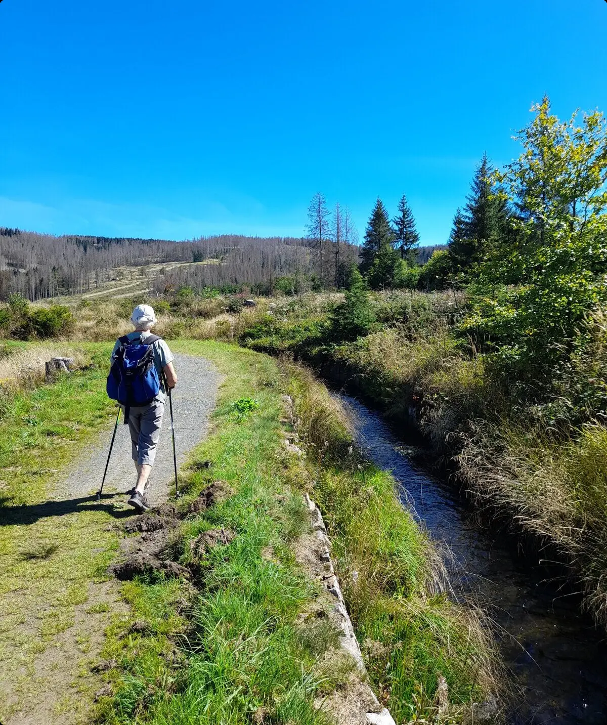 Wanderwoche Oberharzer Wasserregal | © DAV Kulmbach Wandergruppe