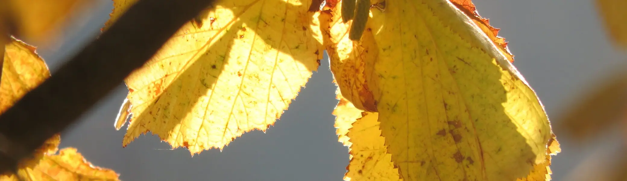 Wandergruppe Herbst 4 | © DAV Kulmbach Wandergruppe