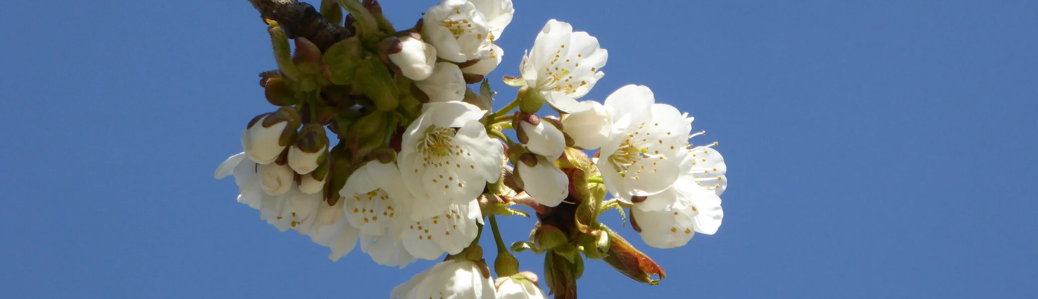 Wandergruppe Frühling 1 | © DAV Kulmbach Wandergruppe