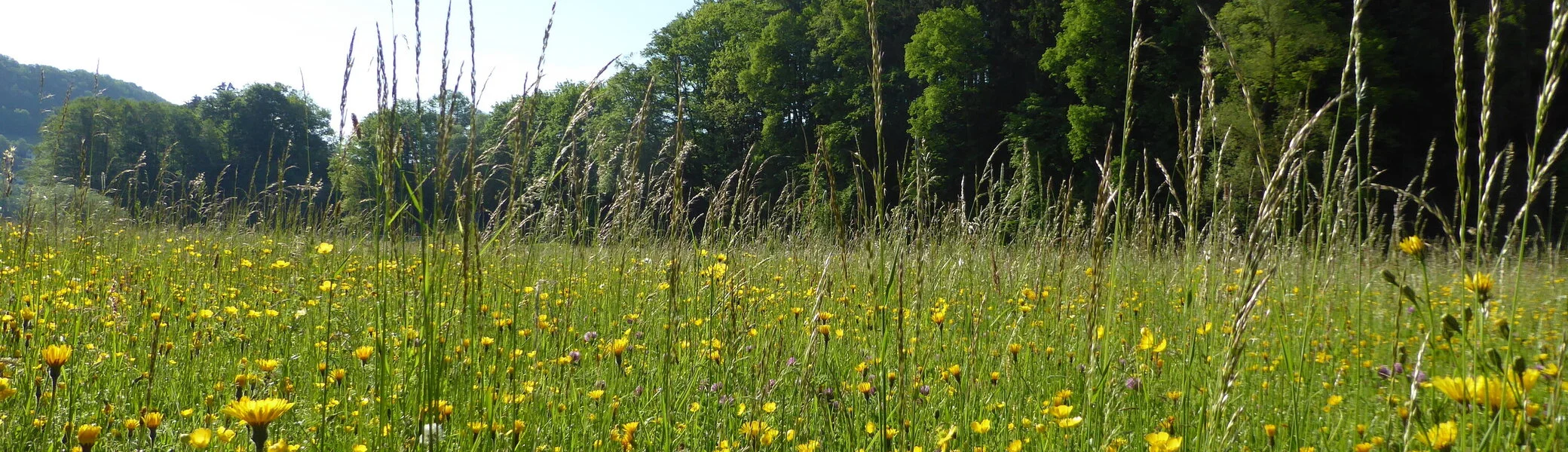Wandergruppe Sommer 1 | © DAV Kulmbach Wandergruppe