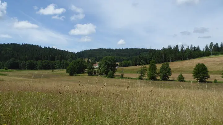 Wandergruppe Sommer 3 | © DAV Kulmbach Wandergruppe