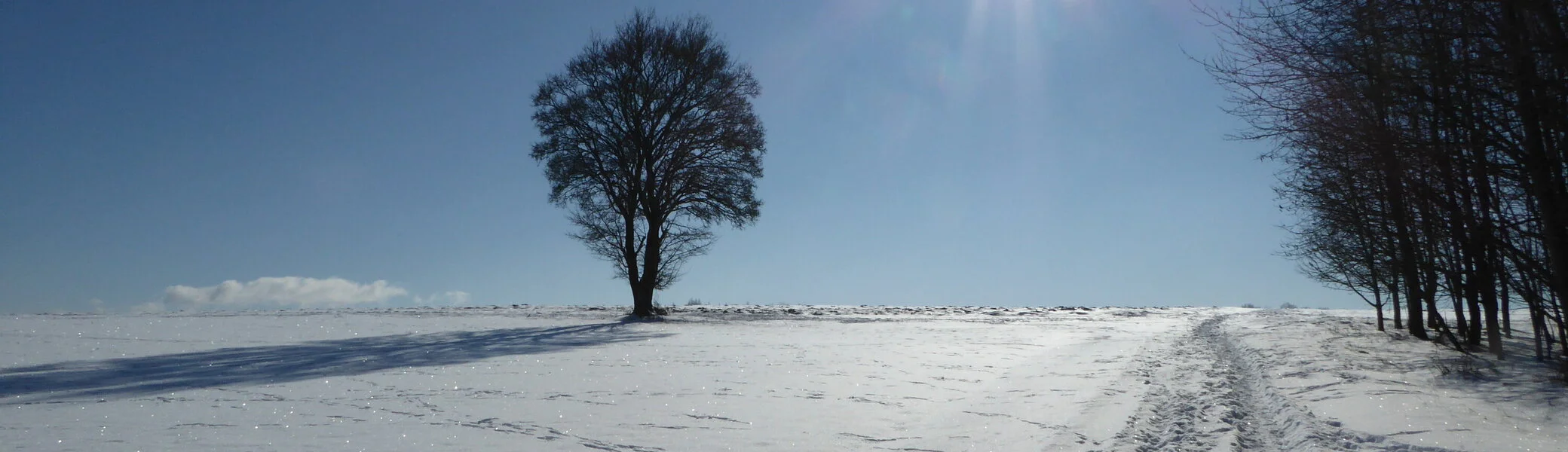 Wandergruppe Winter 3 | © DAV Kulmbach Wandergruppe