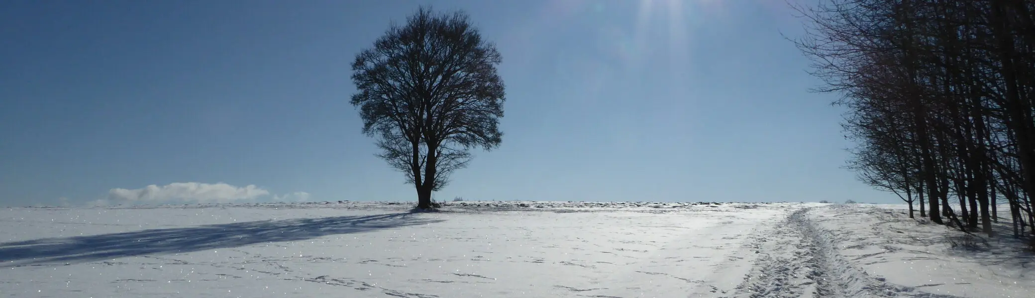 Wandergruppe Winter 3 | © DAV Kulmbach Wandergruppe