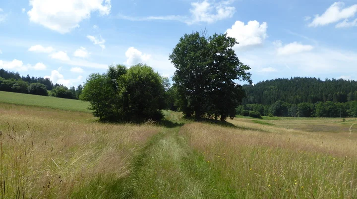 Wandergruppe Sommer 2 | © DAV Kulmbach Wandergruppe