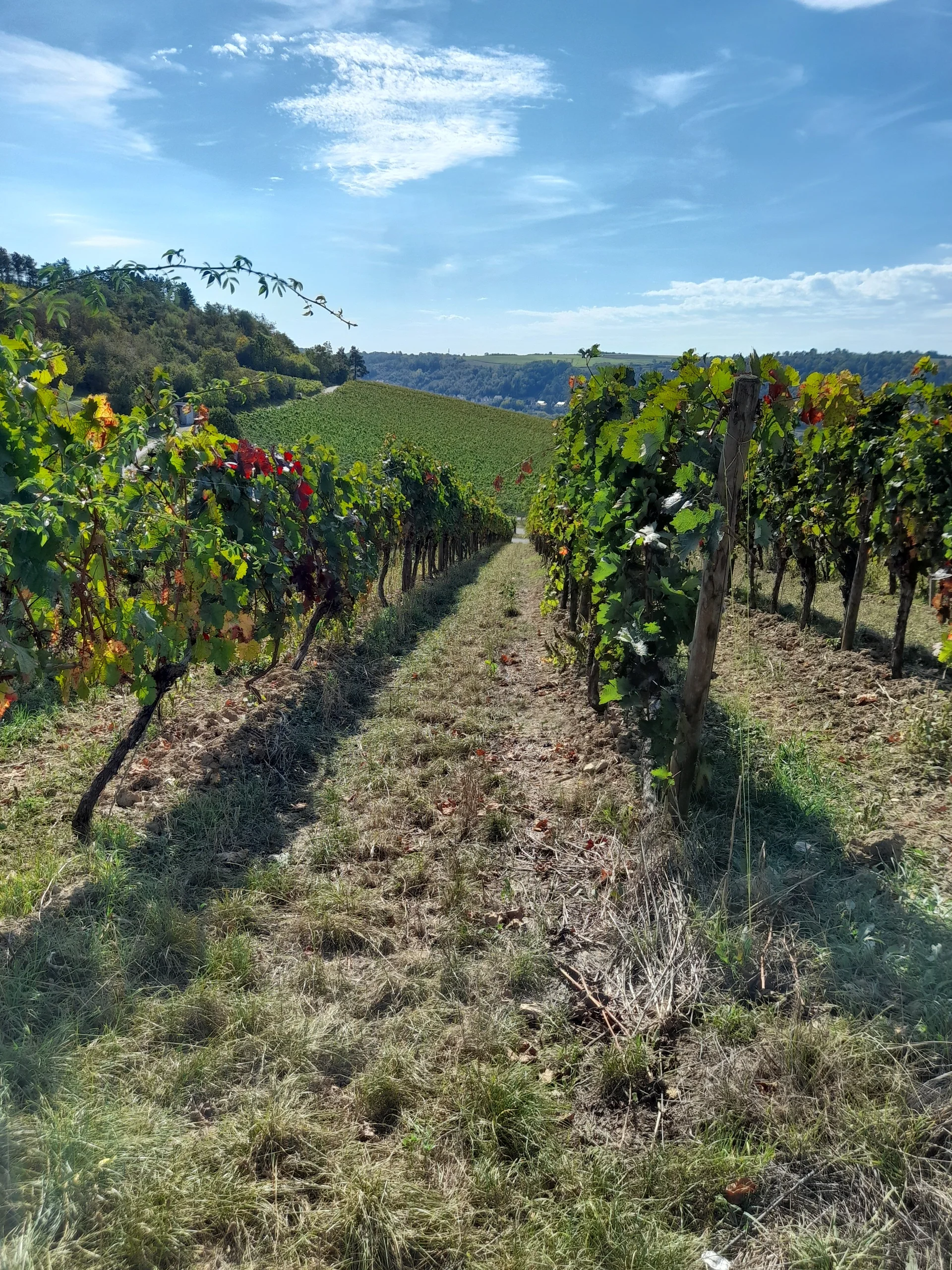 Wandergruppe Weinwanderung 2 | © DAV Kulmbach Wandergruppe