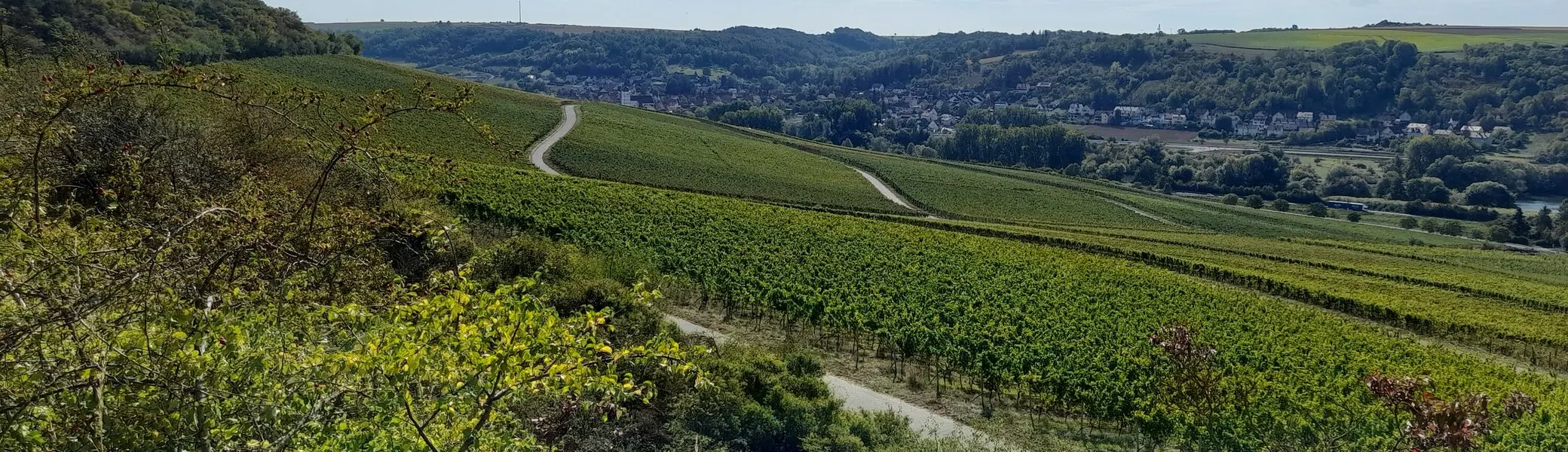 Wandergruppe Weinwanderung 3 | © DAV Kulmbach Wandergruppe