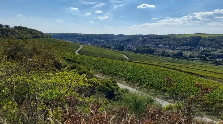 Wandergruppe Weinwanderung 3 | © DAV Kulmbach Wandergruppe