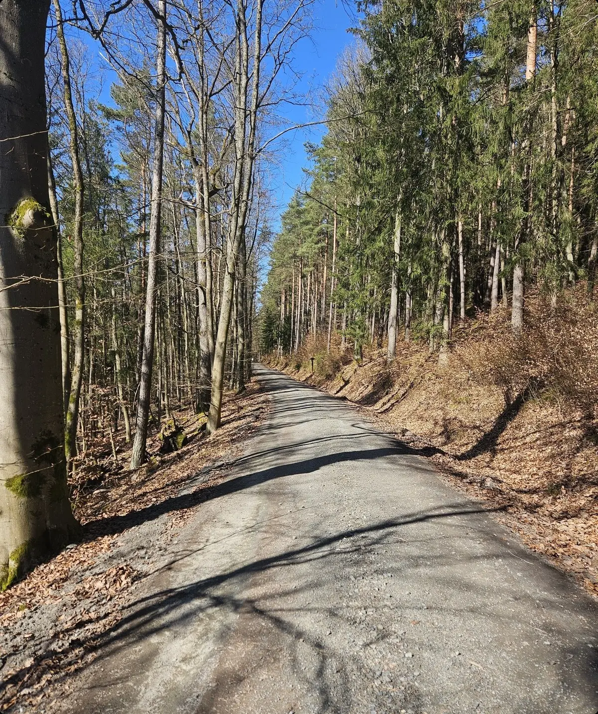 Wandergruppe Rehberg | © DAV Kulmbach Wandergruppe