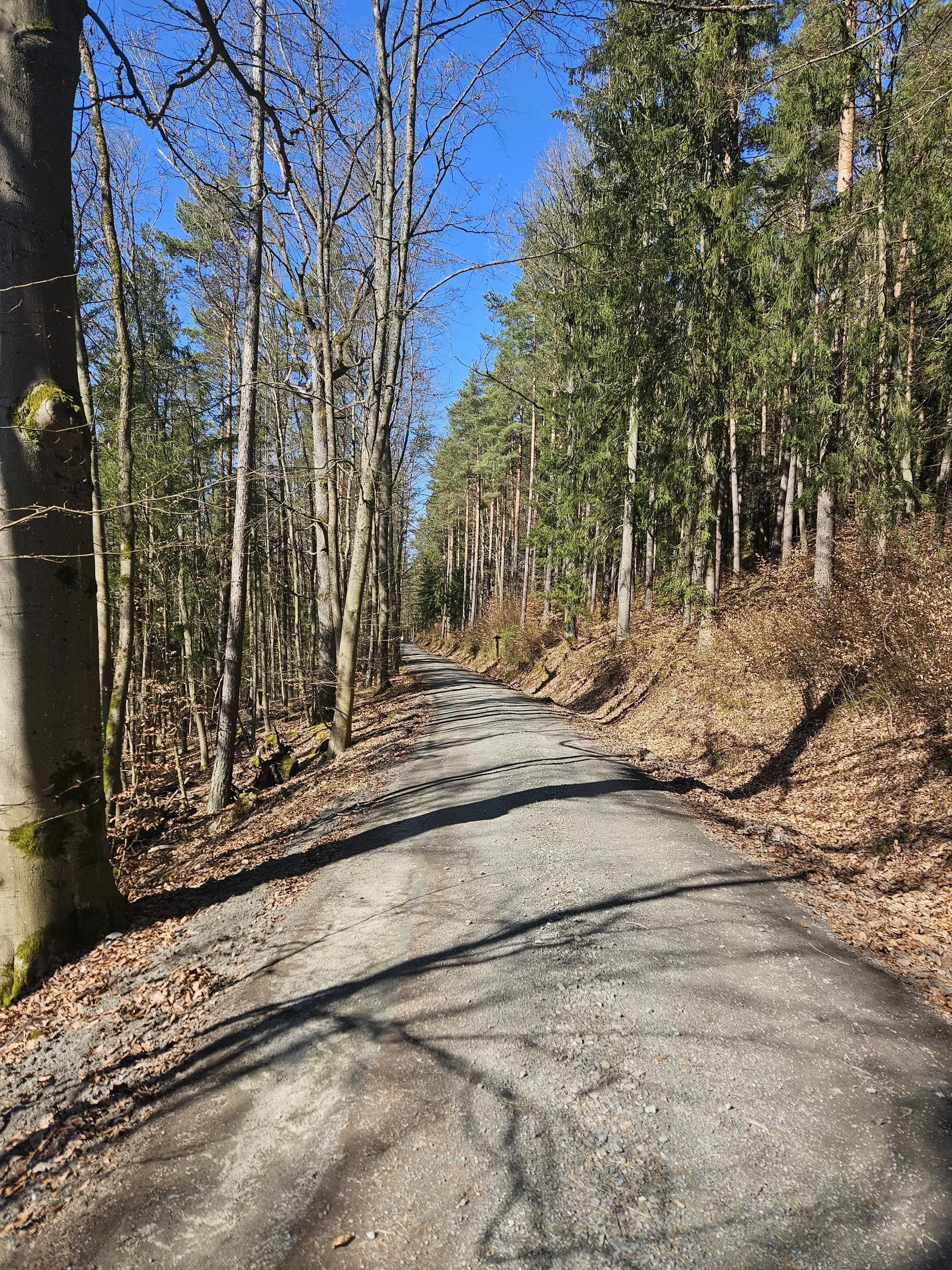 Wandergruppe Rehberg | © DAV Kulmbach Wandergruppe