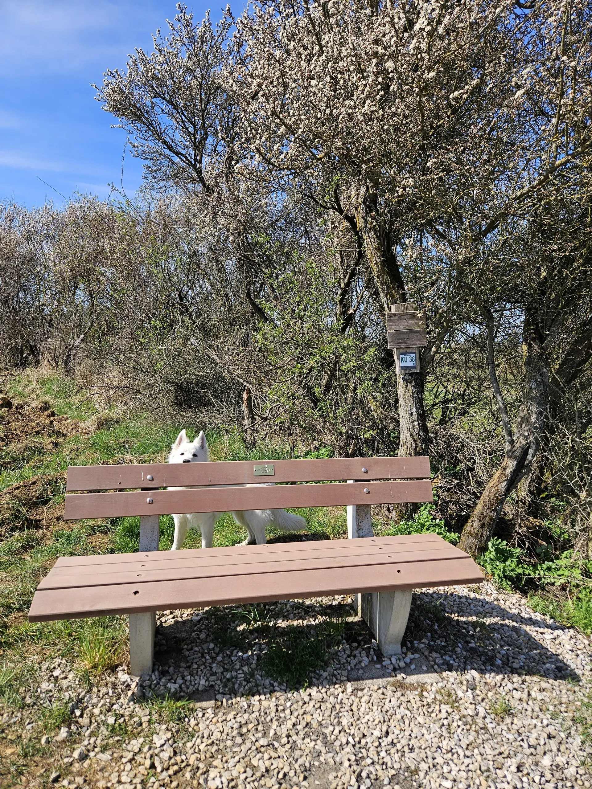 Wandergruppe Zaubach | © DAV Kulmbach Wandergruppe