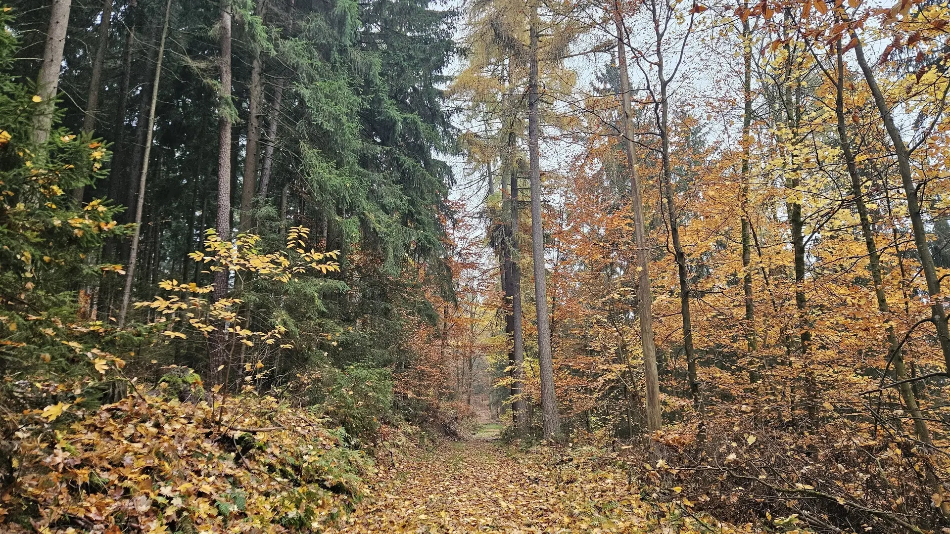 Wandergruppe Herbst 8 | © DAV Kulmbach Wandergruppe