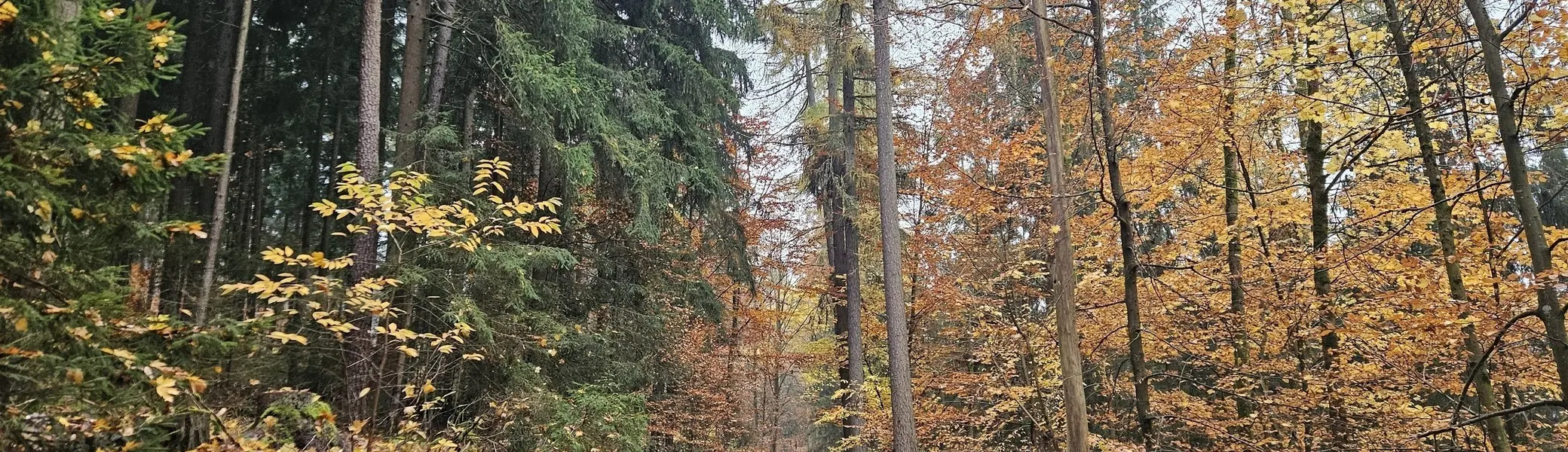 Wandergruppe Herbst 8 | © DAV Kulmbach Wandergruppe