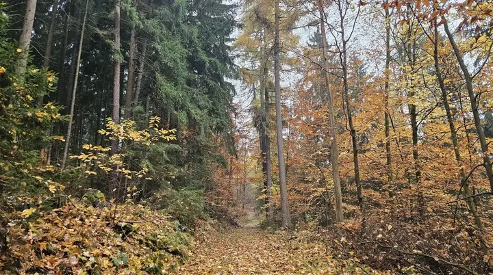 Wandergruppe Herbst 8 | © DAV Kulmbach Wandergruppe