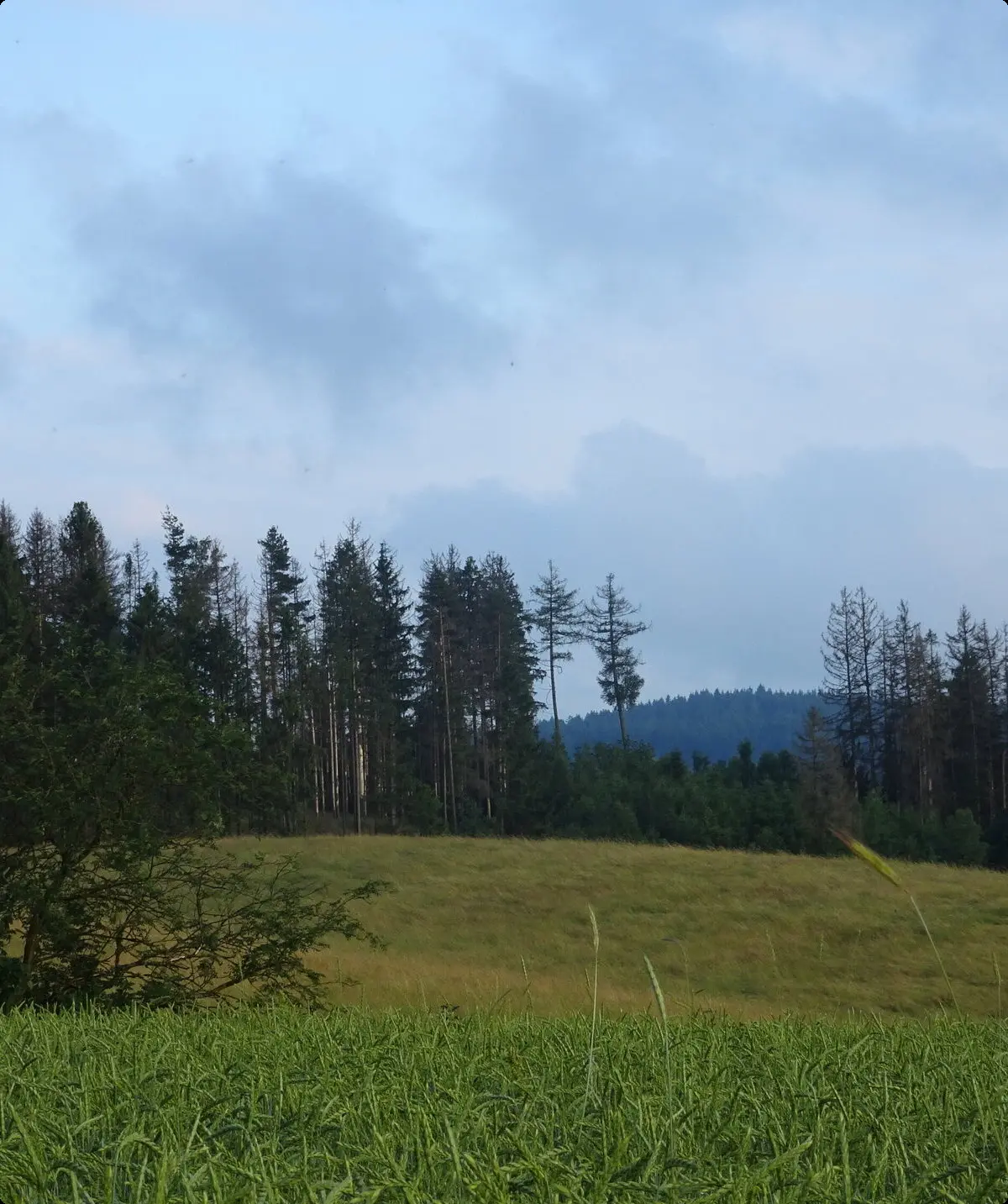 Wandergruppe Sport Steinachtal 1 | © DAV Kulmbach Wandergruppe Sport