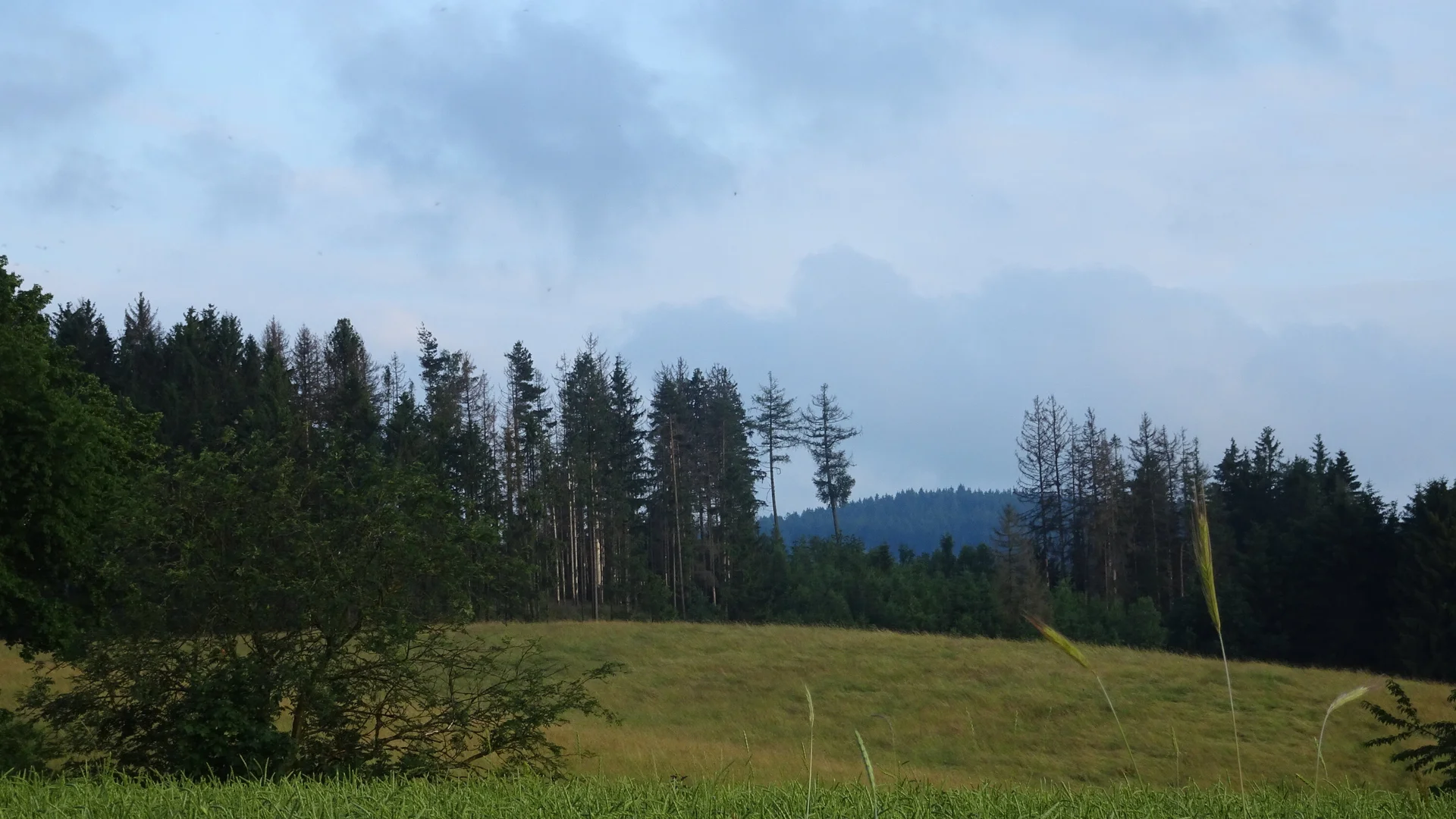 Wandergruppe Sport Steinachtal 1 | © DAV Kulmbach Wandergruppe Sport