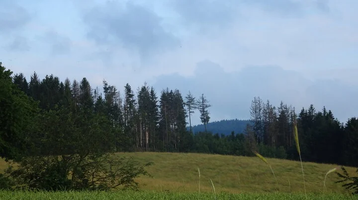 Wandergruppe Sport Steinachtal 1 | © DAV Kulmbach Wandergruppe Sport