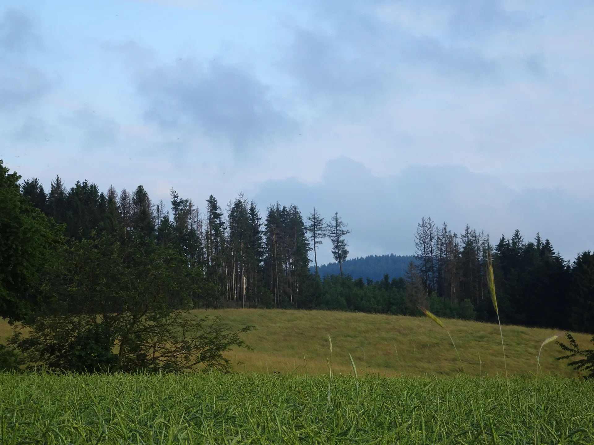 Wandergruppe Sport Steinachtal 1 | © DAV Kulmbach Wandergruppe Sport