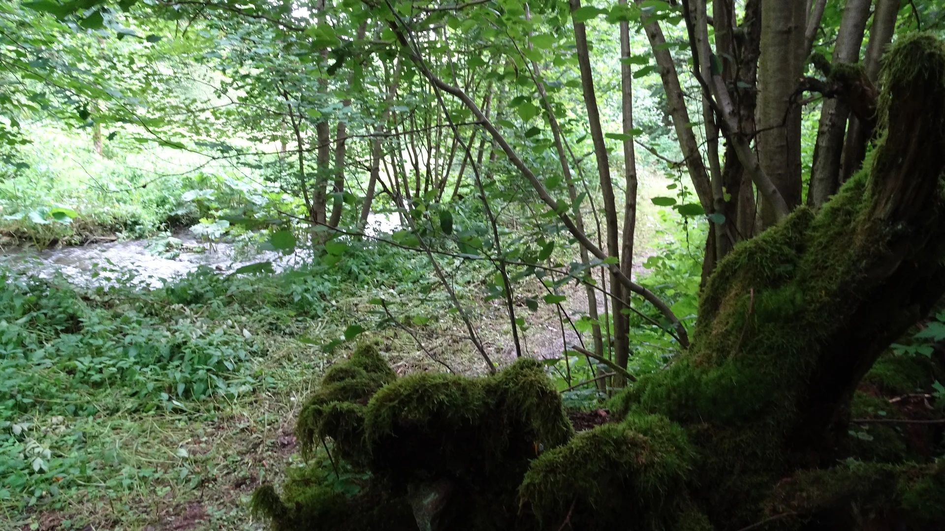 Wandergruppe Sport Mühlenweg 2 | © DAV Kulmbach Wandergruppe Sport