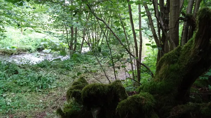 Wandergruppe Sport Mühlenweg 2 | © DAV Kulmbach Wandergruppe Sport