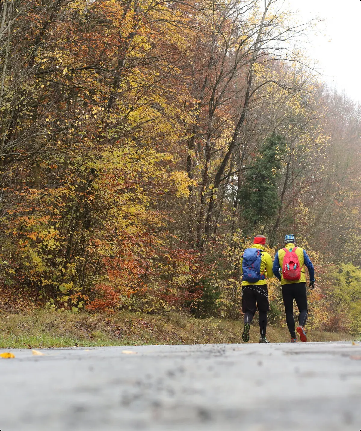 Novemberlauf 2023 | © DAV Kulmbach