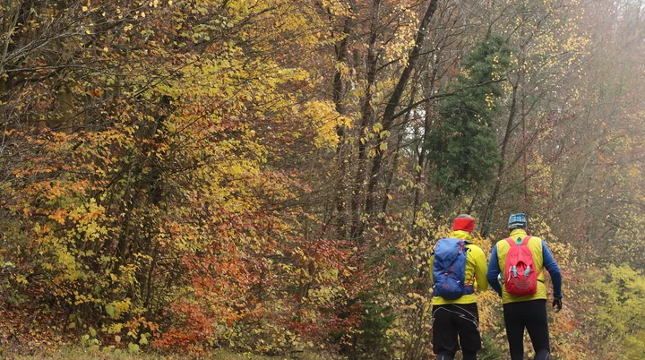 Novemberlauf 2023 | © DAV Kulmbach