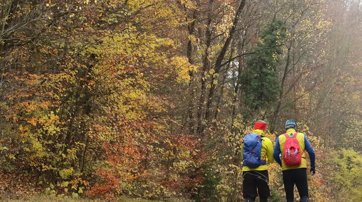 Novemberlauf 2023 | © DAV Kulmbach