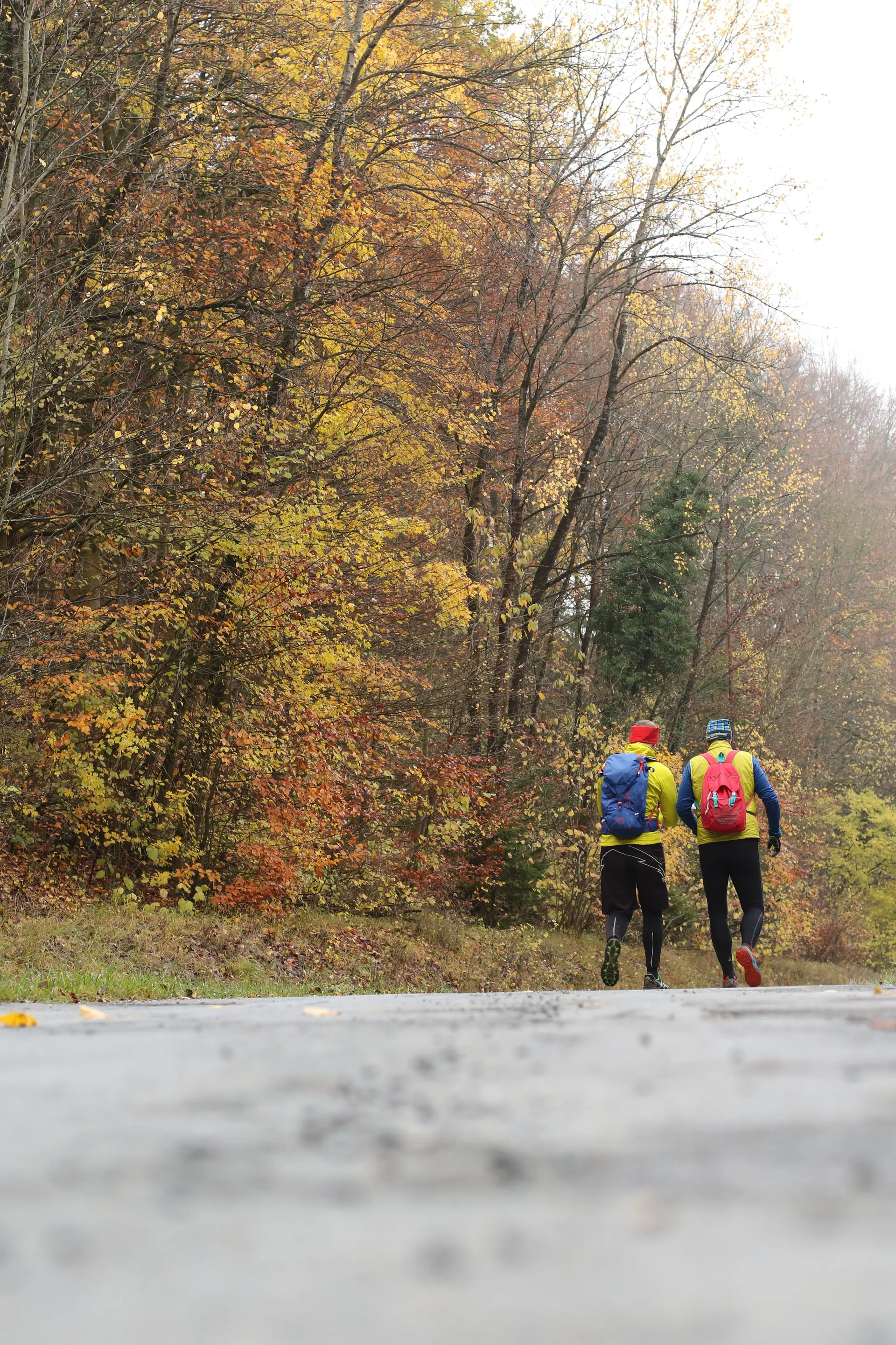 Novemberlauf 2023 | © DAV Kulmbach