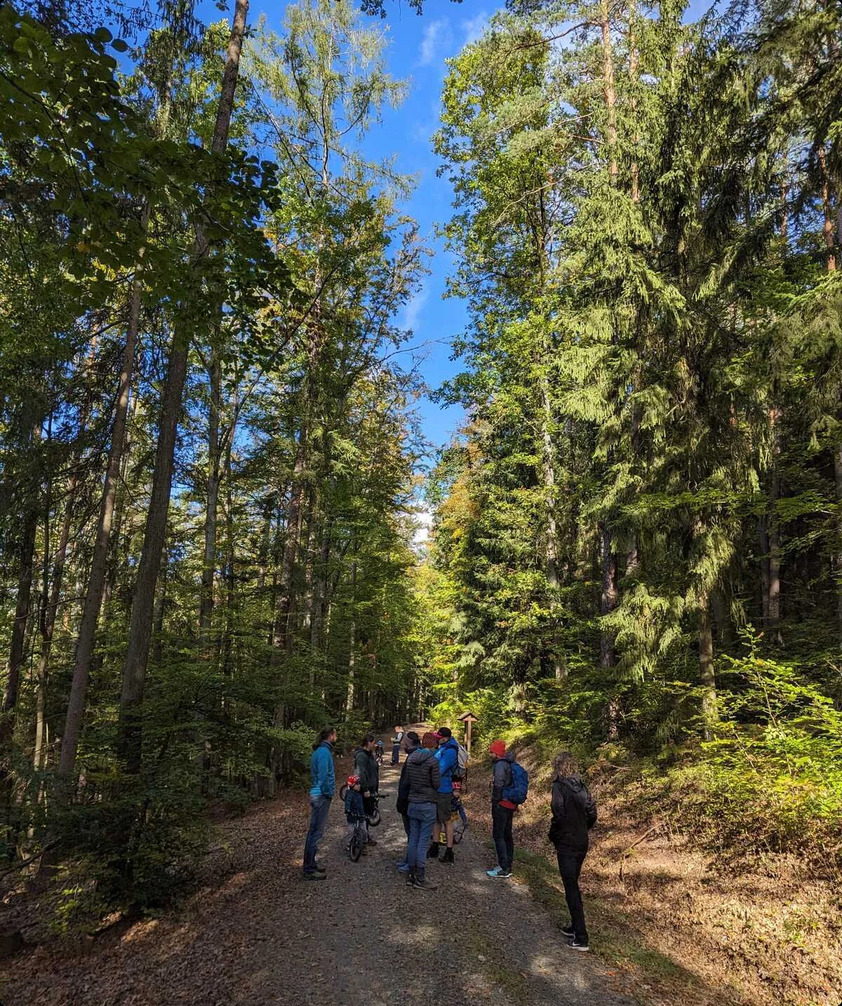 Familiengruppe beim Wandern | © DAV Kulmbach Familiengruppe
