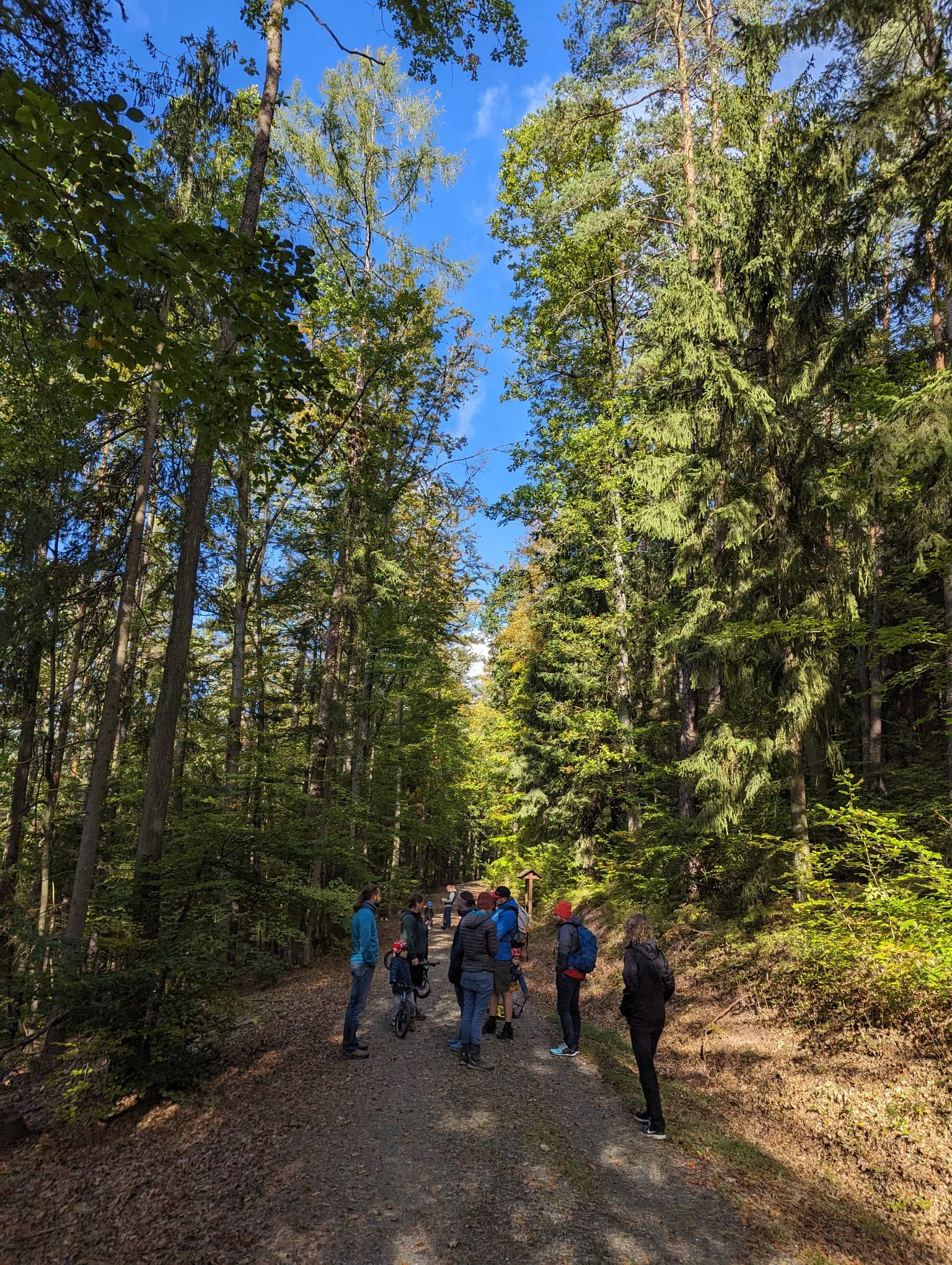 Familiengruppe beim Wandern | © DAV Kulmbach Familiengruppe