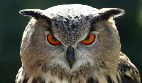 Sperrungsliste IG Klettern | © DAV Kulmbach